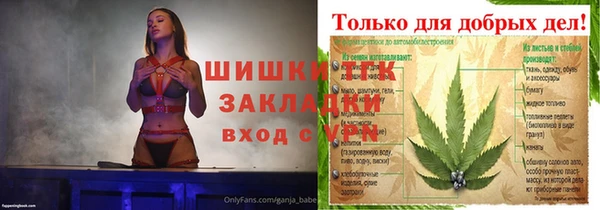 дмт Заводоуковск