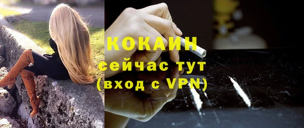 дмт Заводоуковск